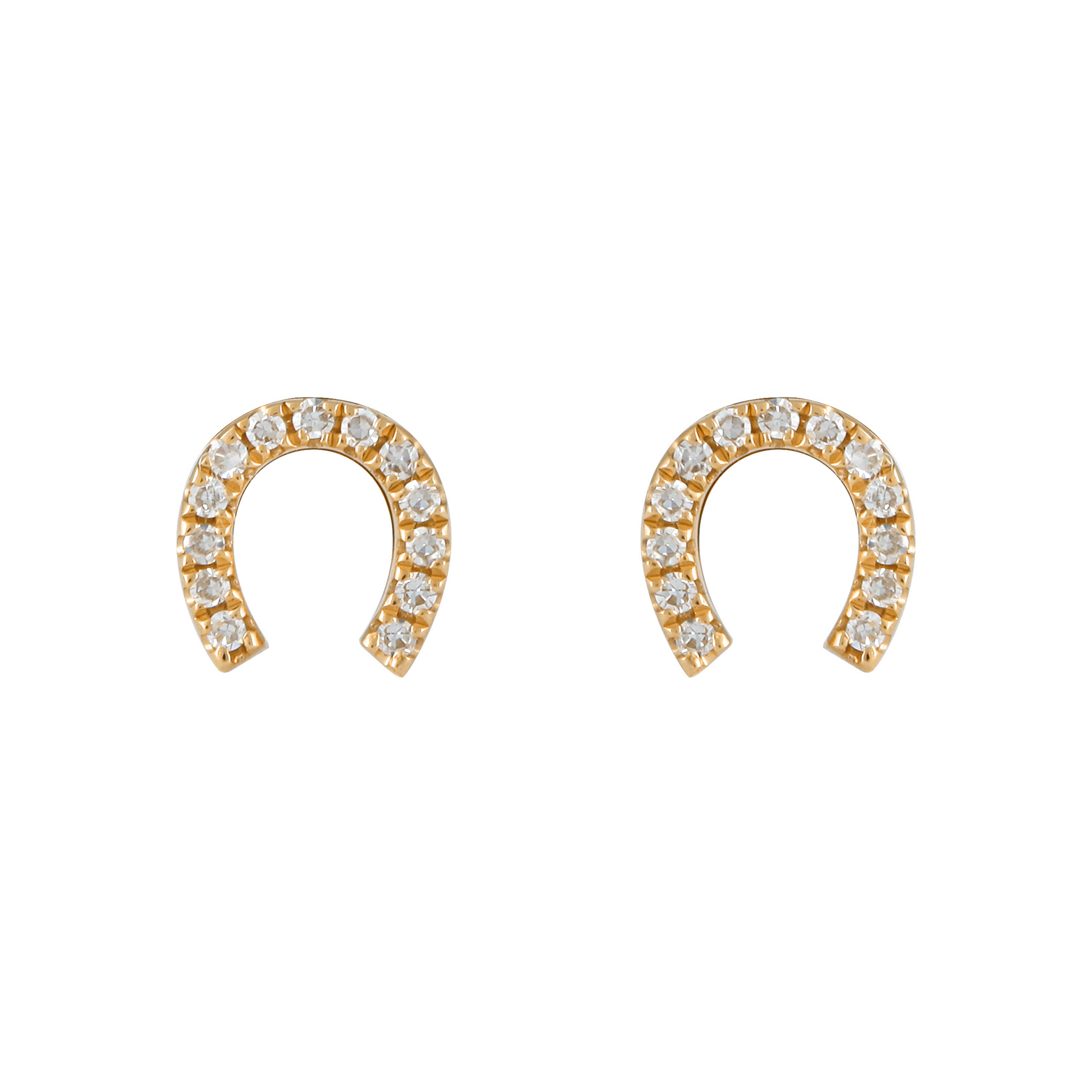 Horseshoe Earrings.