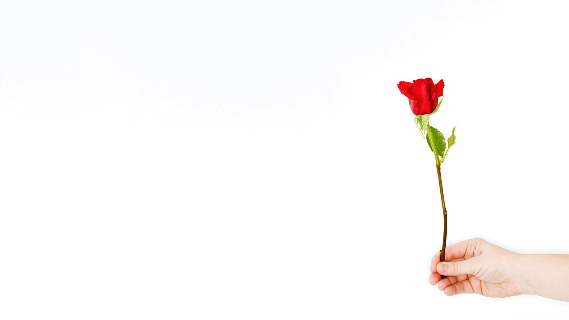 Show the Earth Your Love This Valentine’s Day