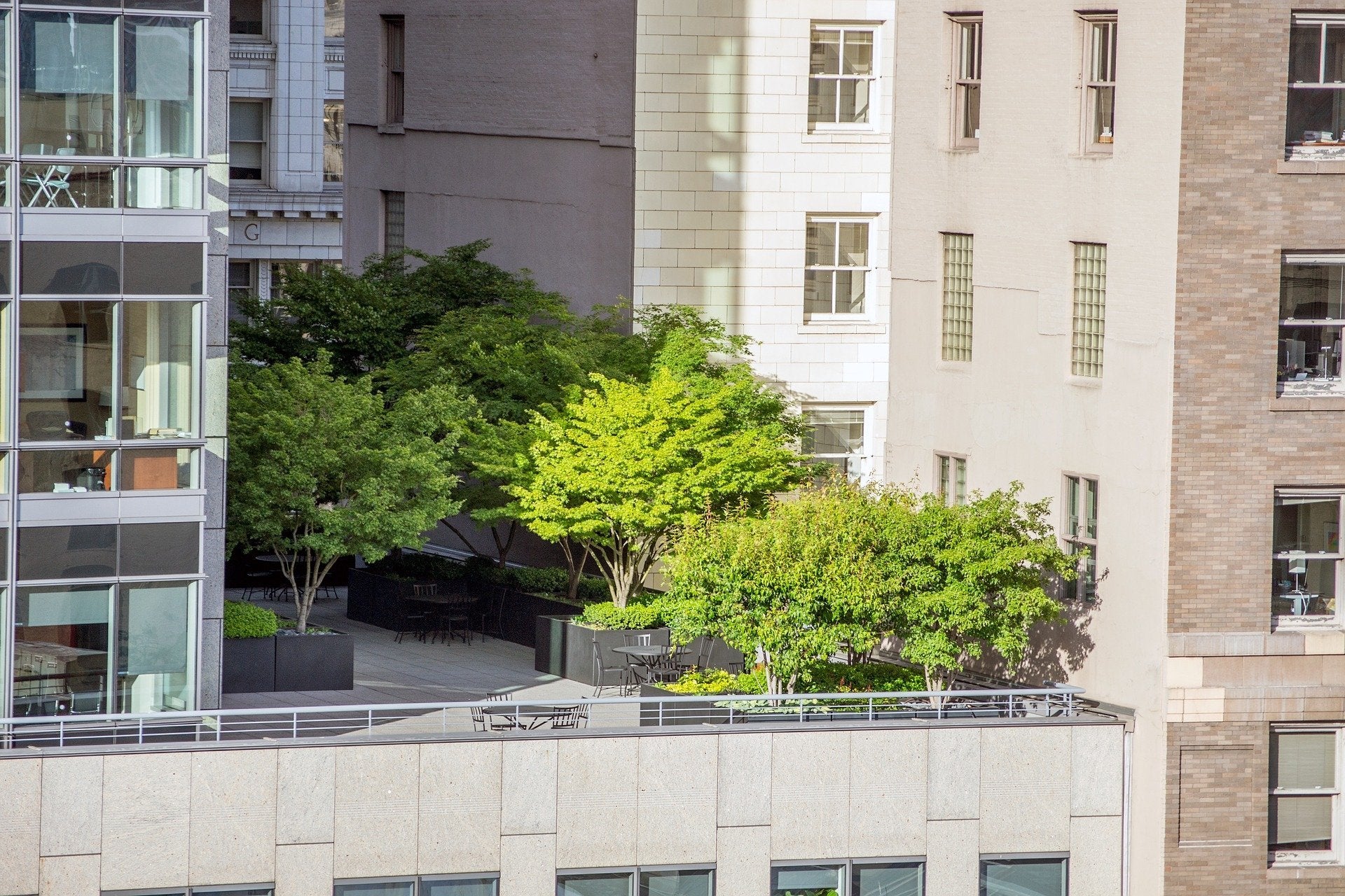 Is Sustainable Big City Living a Possibility? | ecomarkdiamonds