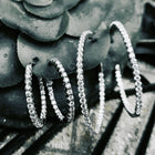Big Hoops Diamonds.