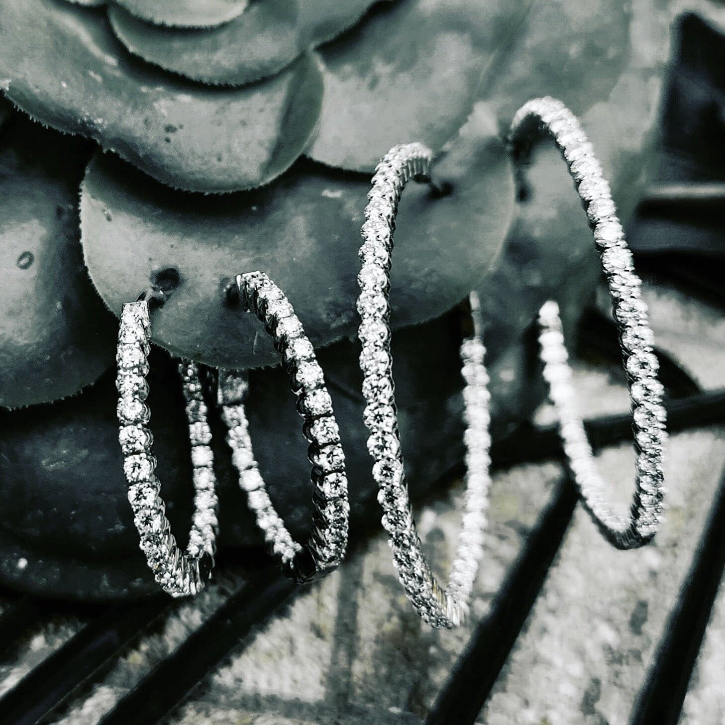Big Hoops Diamonds.