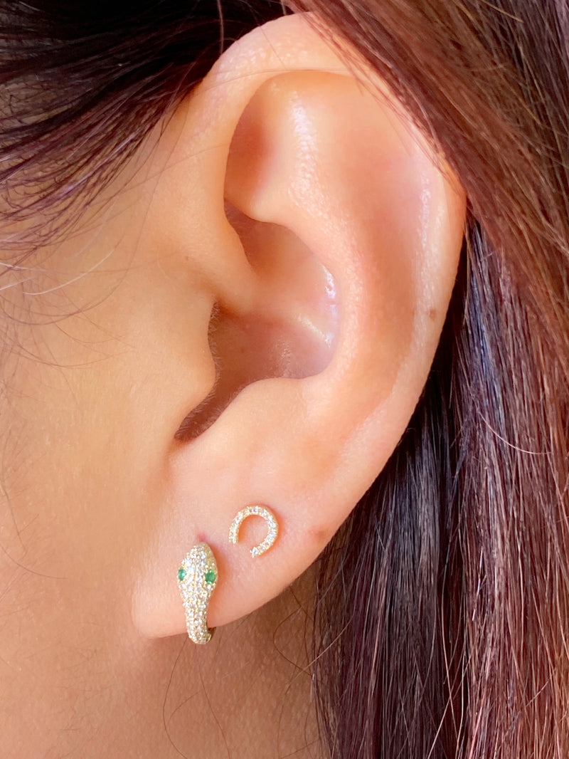 Horseshoe Earrings.