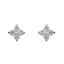 Diamond Twinkle Earrings.