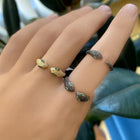 Black Snake Claw Ring.