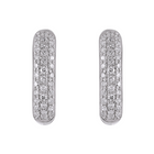 Rounded Hoop Earrings.